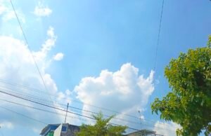 Cuaca Bojonegoro Hari Ini Didominasi Cerah Berawan