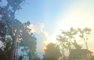 Cuaca Bojonegoro Hari Ini Cerah Berawan, Bengawan Solo Normal dan Surut