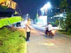 Adu Banteng Dua Motor di Kedungadem Bojonegoro, Pensiunan Guru Tak Tertolong