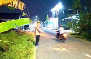 Adu Banteng Dua Motor di Kedungadem Bojonegoro, Pensiunan Guru Tak Tertolong