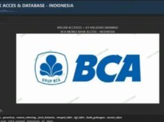 Heboh Dugaan Data Nasabah BCA Bocor di Dark Web, Ini Penjelasan Resminya