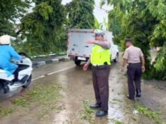 Truk Tangki Tabrak Pohon di Babat Lamongan, Jalur Pantura Sempat Macet