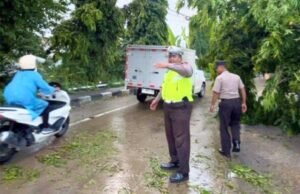 Truk Tangki Tabrak Pohon di Babat Lamongan, Jalur Pantura Sempat Macet