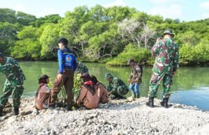 Aksi Hijau Kodim Lamongan, Ratusan Warga Tanam Mangrove di Pesisir