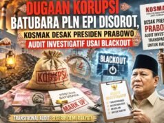 Terungkap Dugaan Batubara 3000 GAR Dipasok ke PLTU PLN Bertahun-tahun