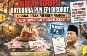 Terungkap Dugaan Batubara 3000 GAR Dipasok ke PLTU PLN Bertahun-tahun