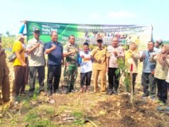 Babinsa Solokuro Lamongan Turun Langsung Tanam Pohon, Hutan Kini Makin Hijau