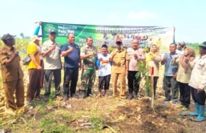 Babinsa Solokuro Lamongan Turun Langsung Tanam Pohon, Hutan Kini Makin Hijau