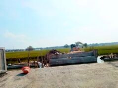 Cuaca Bojonegoro Hari Ini Cerah Seharian, Suhu Siang Capai 31 Derajat