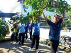 Makam Kanjeng Soemantri Bojonegoro Dihijaukan, 20 Pohon Pule Ditanam
