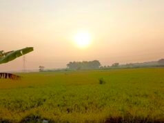Cuaca Bojonegoro Hari Ini Cerah, Debit Bengawan Solo Terpantau Normal