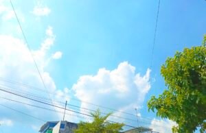 Cuaca Bojonegoro Hari Ini 3 Juni 2026 Cerah Seharian