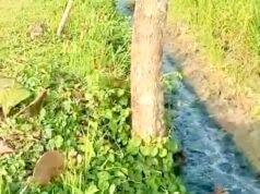 Diduga Buang Limbah ke Lingkungan, Industri Tahu di Mulyoagung Balen Bojonegoro Jadi Perbincangan