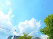 Cuaca Bojonegoro Hari Ini Cerah Seharian