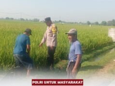 Polisi Hadir di Tengah Petani, Wujud Dukungan untuk Ketahanan Pangan Nasional