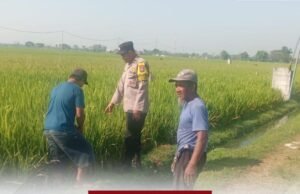 Polisi Hadir di Tengah Petani, Wujud Dukungan untuk Ketahanan Pangan Nasional