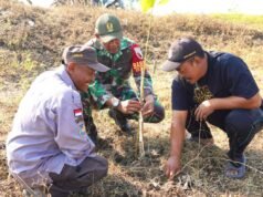 Lawan Ancaman Bencana, Ribuan Pohon Kayu Putih dan Balsa Ditanam Kodim Bojonegoro