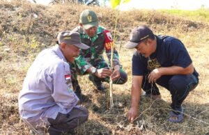Lawan Ancaman Bencana, Ribuan Pohon Kayu Putih dan Balsa Ditanam Kodim Bojonegoro
