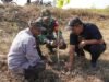Kodim Bojonegoro Tanam Ribuan Pohon Kayu Putih dan Balsa
