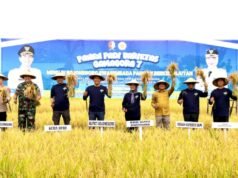 Ekonomi Bojonegoro Tumbuh, Pertanian Jadi Penyelamat Saat Migas Melambat