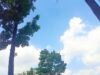 Cuaca Bojonegoro Didominasi Cerah