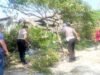 Pohon Tumbang Tutup Jalur Deket-Lamongan, Polisi Bergerak Cepat