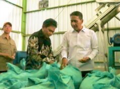 Bupati Wahono Resmikan Pabrik Porang, Bojonegoro Siap Kuasai Pasar Nasional