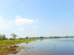 Cuaca Bojonegoro Hari Ini Cerah, Bengawan Solo Masih Aman