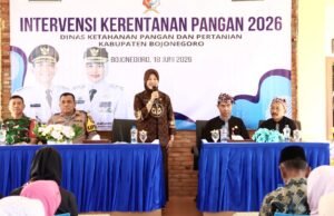 Produksi Padi Bojonegoro Melonjak, Kini Peringkat 2 Terbesar di Jatim
