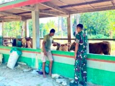 Prajurit Yonif TP 885 dan Peternak Bojonegoro Bersinergi Bangun Ketahanan Pangan