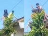 Bocah di Cakung Jakarta Diduga Jadi Korban Pemerkosaan Tetangga