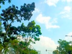Cuaca Bojonegoro Hari Ini Cerah Seharian, BMKG: Suhu Capai 30 Derajat