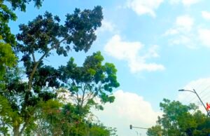 Cuaca Bojonegoro Hari Ini Cerah Seharian, BMKG: Suhu Capai 30 Derajat