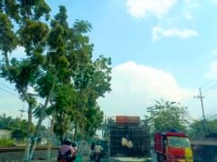 Prakiraan Cuaca Bojonegoro Selasa 30 Juni 2026, Cerah dari Pagi hingga Malam