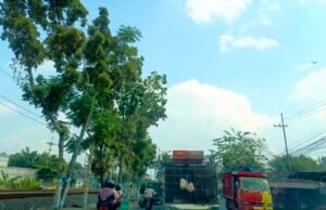 Prakiraan Cuaca Bojonegoro Selasa 30 Juni 2026, Cerah dari Pagi hingga Malam