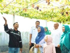 Green House Anggur Bojonegoro Jadi Wisata Edukasi, Hasil Kolaborasi yang Menginspirasi