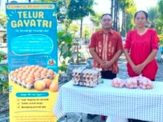 Telur GAYATRI Bojonegoro Laris, KPM Minta Subsidi Pakan ke Pemkab