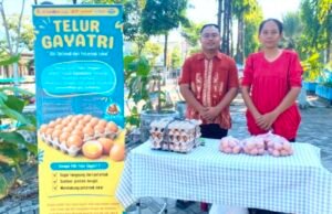 Telur GAYATRI Bojonegoro Laris, KPM Minta Subsidi Pakan ke Pemkab