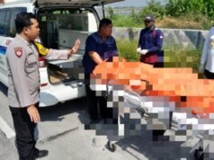 Kecelakaan Maut di Lamongan, Pemotor Tewas usai Bersenggolan dengan Truk