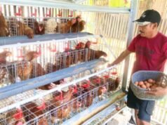 Kabar Baik, Peternak GAYATRI Bojonegoro Bakal Dapat Bantuan Pakan dan Pasar Baru