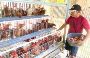 Kabar Baik, Peternak GAYATRI Bojonegoro Bakal Dapat Bantuan Pakan dan Pasar Baru