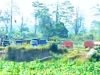 Diduga Tambang Pasir Ilegal di Blitar Masih Beroperasi, Warga Minta APH Bertindak