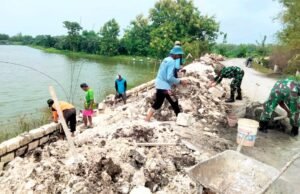 Gotong Royong Bangun TPT, Akses Utama Desa Palangan Lamongan Kini Lebih Aman