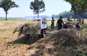 TMMD 129 Kesongo Bojonegoro Segera Dibuka, TNI dan Warga Kompak Kerja Bakti