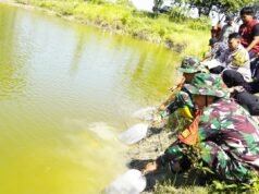 TMMD 129 Bojonegoro Tebar 11 Ribu Benih Ikan, Ketahanan Pangan Desa Kesongo Makin Kuat