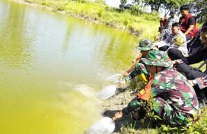 TMMD 129 Bojonegoro Tebar 11 Ribu Benih Ikan, Ketahanan Pangan Desa Kesongo Makin Kuat