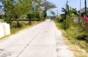 Desa Drajat Bojonegoro Bangun Jalan Rigid Beton, Petani hingga Anak Sekolah Kini Lebih Mudah Beraktivitas