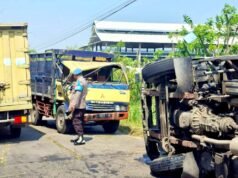 Dua Truk Bertabrakan di Solokuro Lamongan, Polisi Sigap Evakuasi Korban