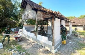 Satgas TMMD 129 Bojonegoro dan Warga Kompak Bangun Rumah Layak Huni untuk Mbah Kardo di Kesongo