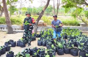 TMMD 129 Bojonegoro Bagikan Bibit Sayuran, Warga Kesongo Diajak Perkuat Ketahanan Pangan